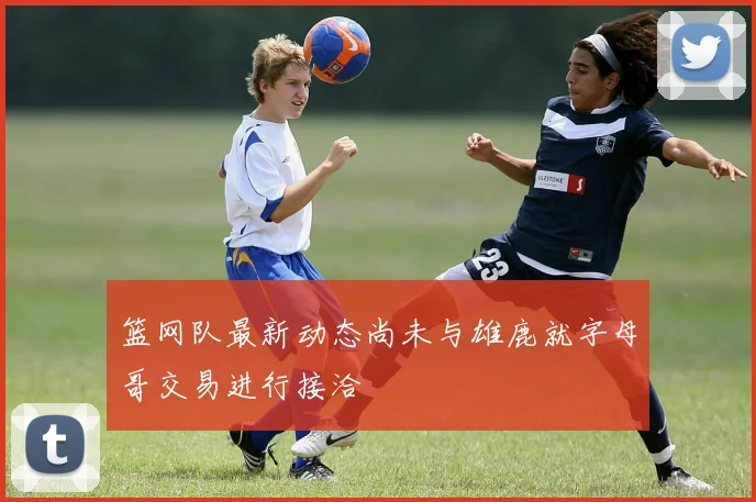 篮网队最新动态尚未与雄鹿就字母哥交易进行接洽